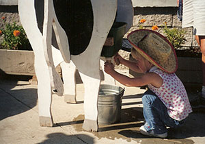 milking_cow